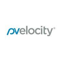 pvelocity logo image