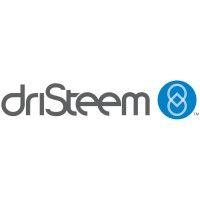 dristeem logo image