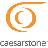 caesarstone technologies usa, inc logo image