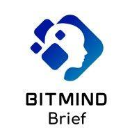 bitmind brief logo image