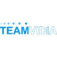 teamvidia logo image