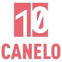 canelo digital publishing limited logo image