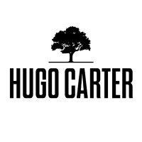 hugo carter - silent windows logo image