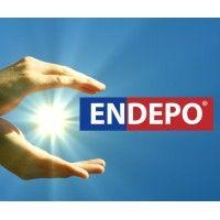 endepo, inc. - us logo image