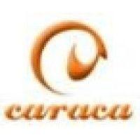 caraca technology co., ltd. logo image