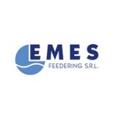 logo of Emes Feedering S R L