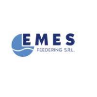 emes feedering s.r.l. logo image