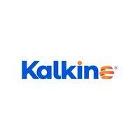 kalkine professional logo image