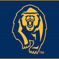 golden bear gymnastics logo image