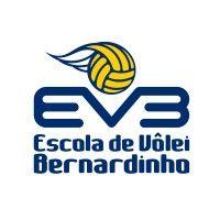 escola de vôlei bernardinho logo image