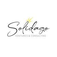 solidago ventures and consulting, llc logo image