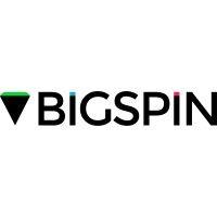 bigspin logo image