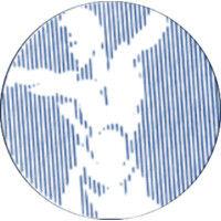 s.t.a.r. physical therapy logo image