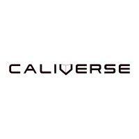 caliverse inc logo image