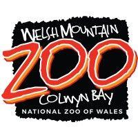 welsh mountain zoo - national zoo of wales