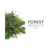 forest produce ltd logo image