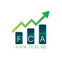 fca - finance consulting & audit logo image