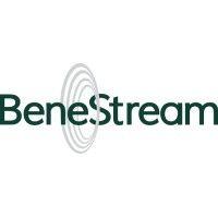 benestream logo image