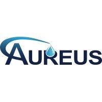 aureus energy services inc. logo image