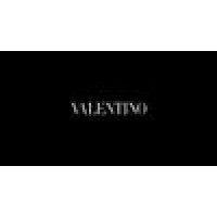 valentino usa logo image