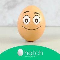 hatch financial services