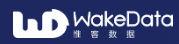 WakeData logo image