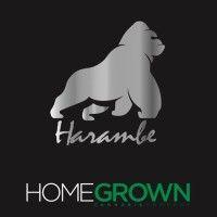 homegrown cannabis co. logo image