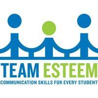 team esteem llc logo image