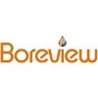 boreview services logo image