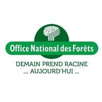 onf (office national des forêts) logo image