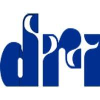 dignity rights international logo image