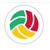 wales netball logo image