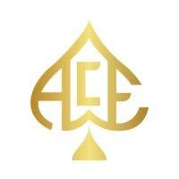 ace management group inc. logo image