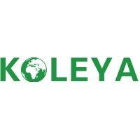 qinhuangdao koleya glass co., ltd. logo image