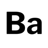 basilica logo image