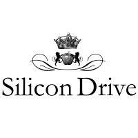 silicon drive logo image