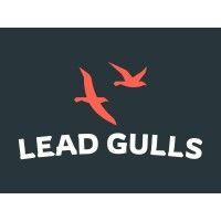 lead gulls digital marketing agency logo image