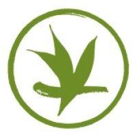 verdant tea logo image