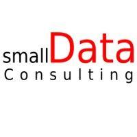 small data consulting