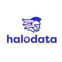 halodata group - your premier south east asian distributor logo image