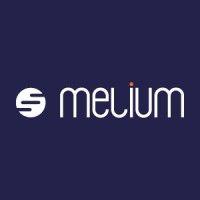 melium consulting logo image