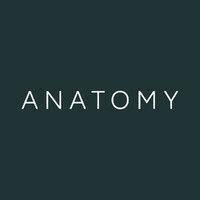 anatomy financial logo image