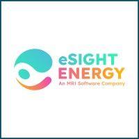 esight energy logo image