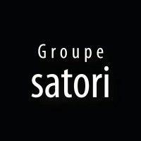 groupe satori inc. logo image