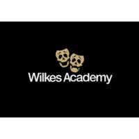 wilkes academy limited logo image