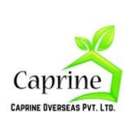 caprine overseas pvt ltd. logo image