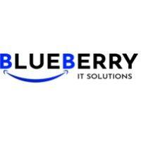 blueberry it solutions pvt ltd logo image