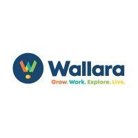 wallara australia limited logo image