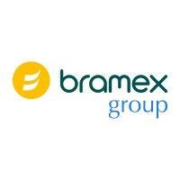 bramex group logo image