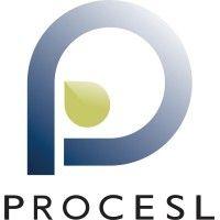 procesl, engª ambiental e hidráulica logo image